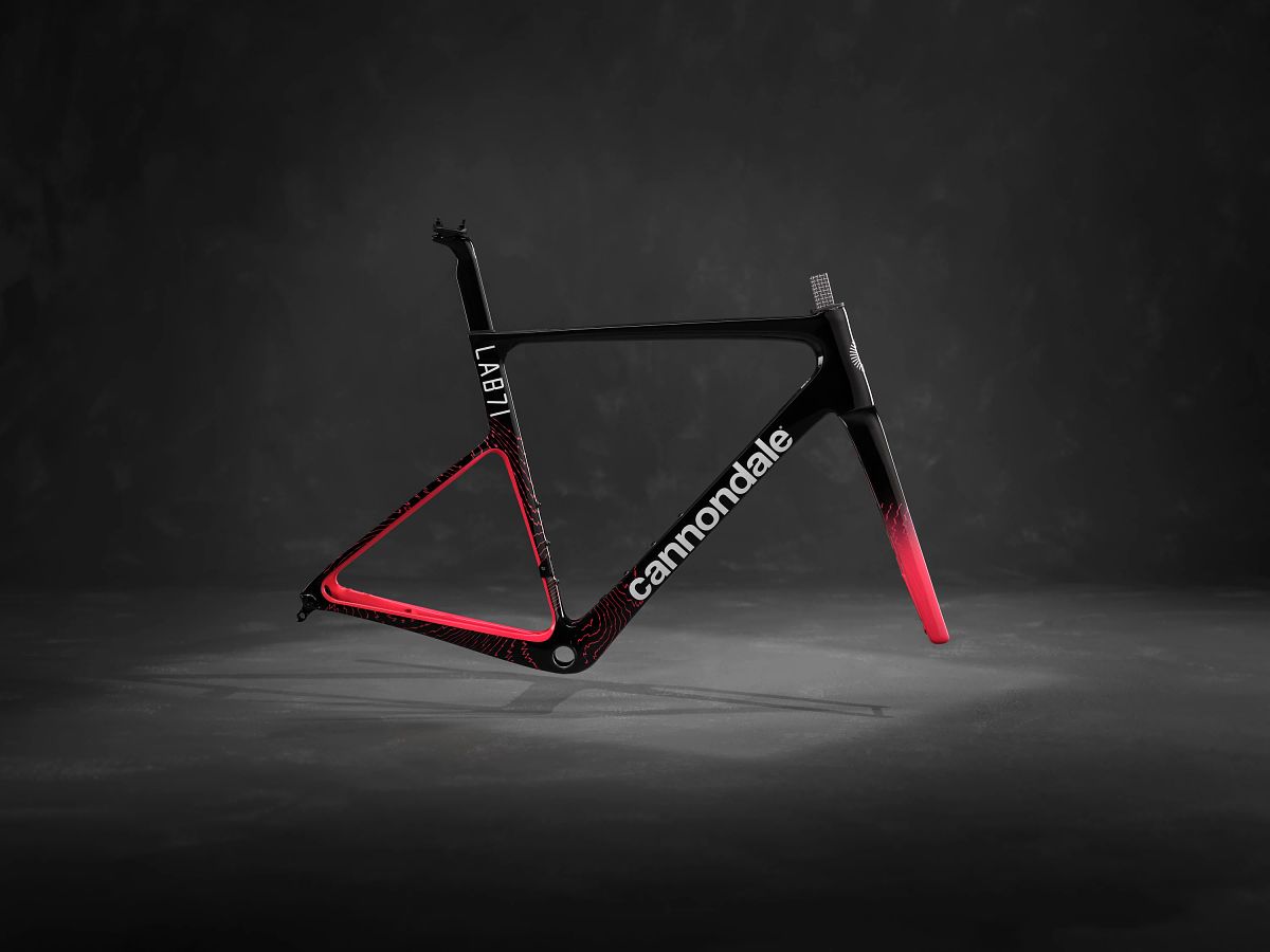 捷世樂單車休閒jesler bicycles